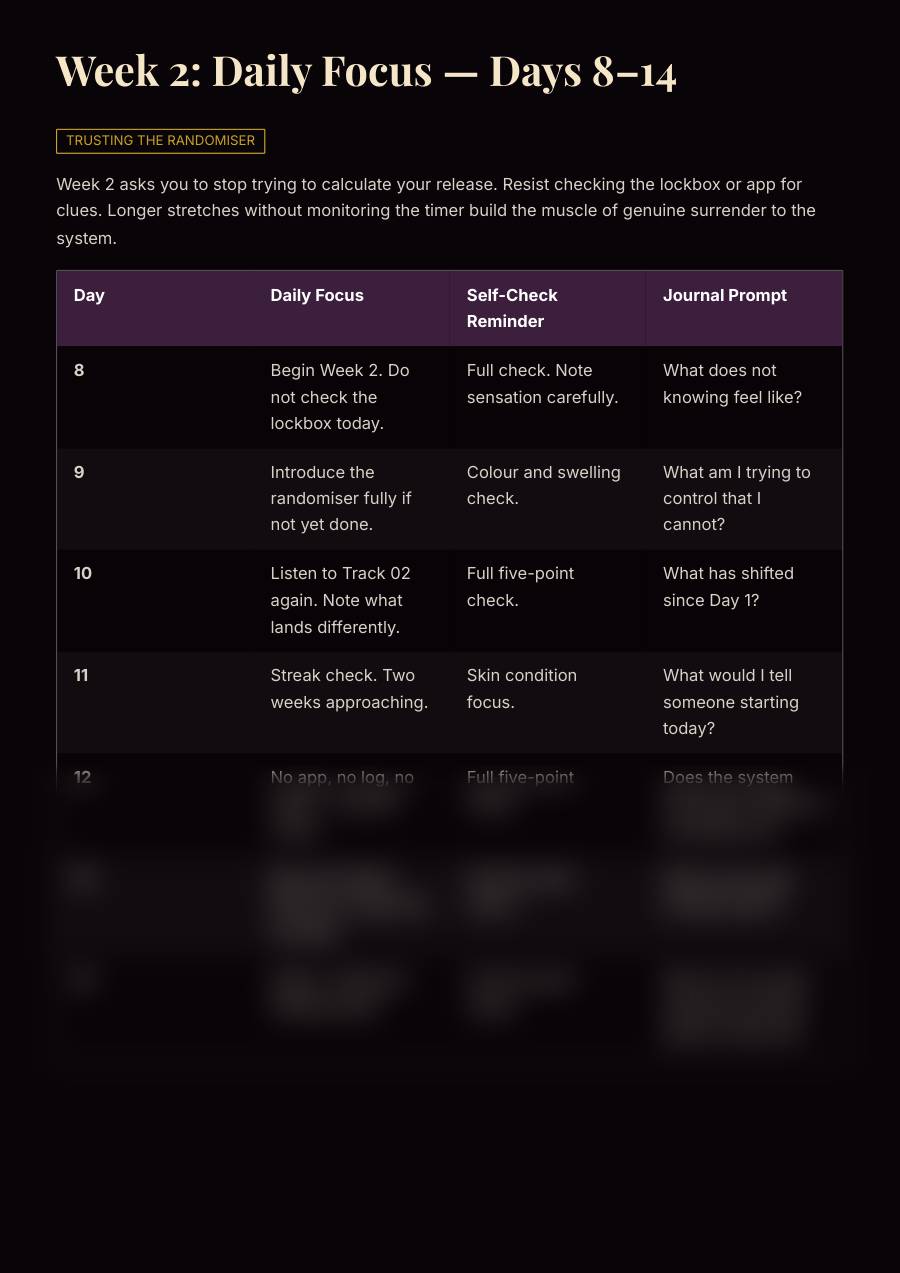 The Solo Locktober Protocol, preview page 1 of 2. The lower part of the page is blurred.